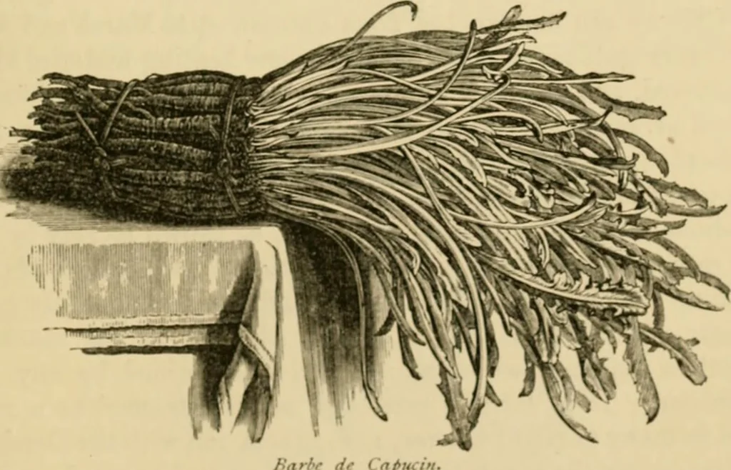 An illustration from The parks and gardens of Paris, considered in relation to the wants of other cities and of the public and private gardens; being notes on a study of Paris gardens, 1878, leaf 530