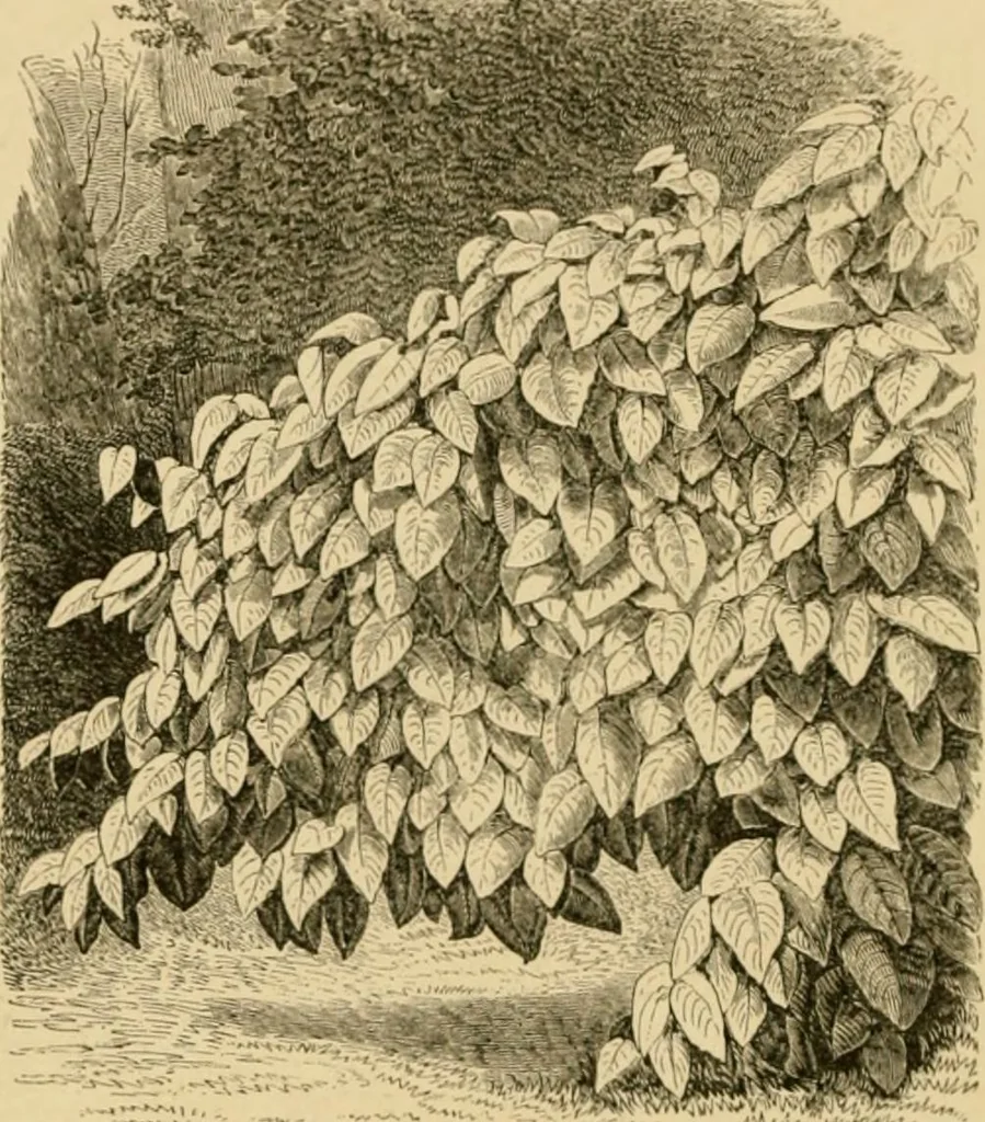 An illustration from The parks and gardens of Paris, considered in relation to the wants of other cities and of the public and private gardens; being notes on a study of Paris gardens, 1878, leaf 55