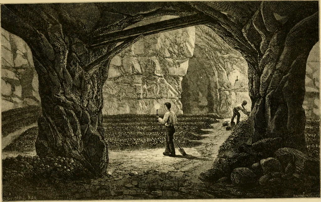 An illustration from The parks and gardens of Paris, considered in relation to the wants of other cities and of the public and private gardens; being notes on a study of Paris gardens, 1878, leaf 550