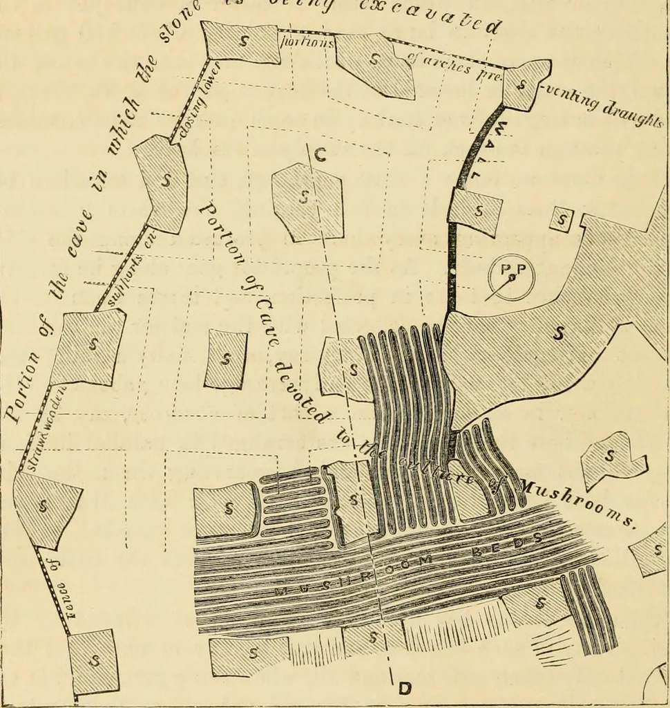 An illustration from The parks and gardens of Paris, considered in relation to the wants of other cities and of the public and private gardens; being notes on a study of Paris gardens, 1878, leaf 553