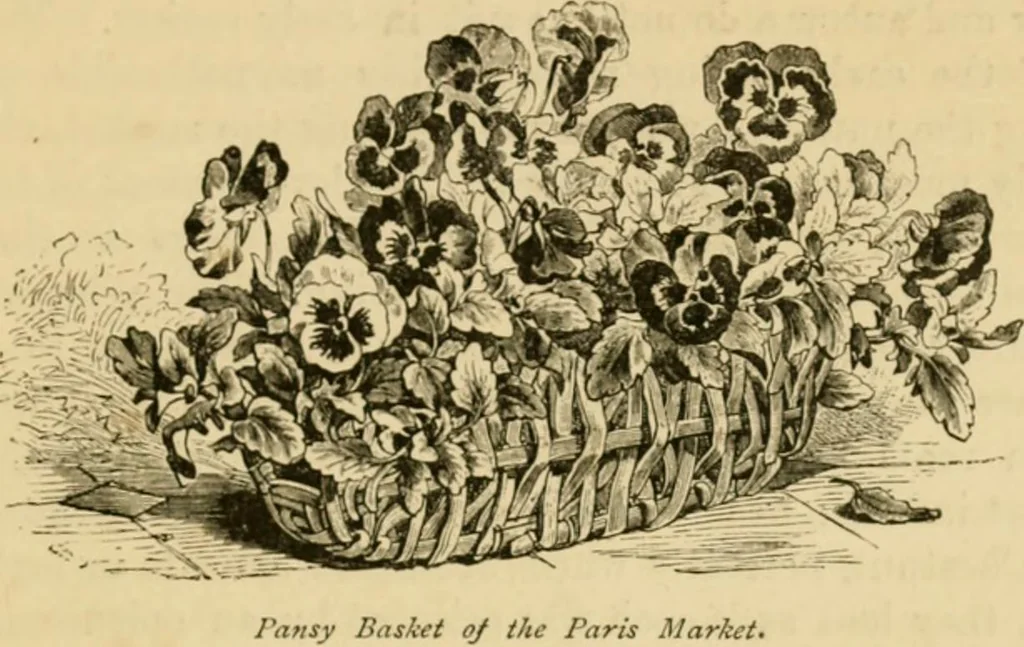 An illustration from The parks and gardens of Paris, considered in relation to the wants of other cities and of the public and private gardens; being notes on a study of Paris gardens, 1878, leaf 576