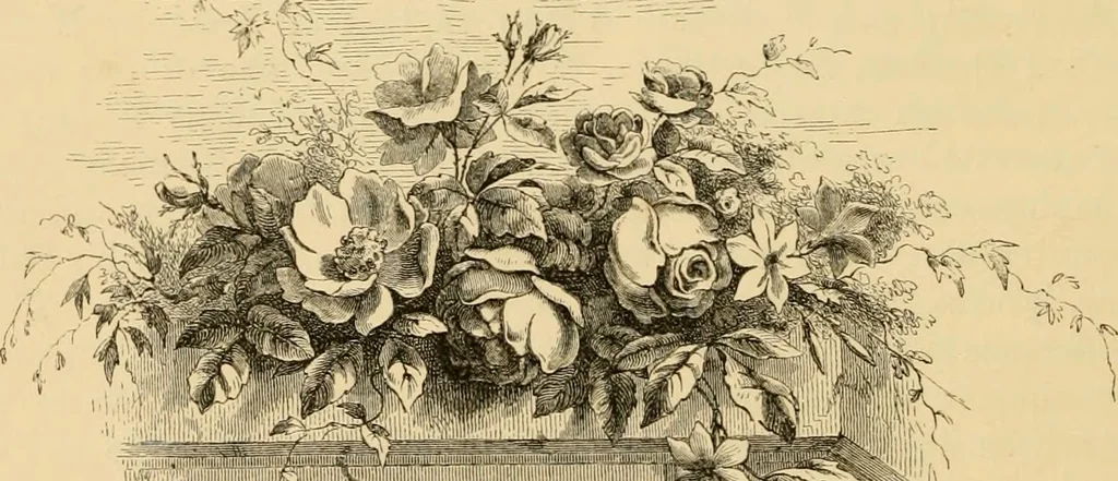 An illustration from The parks and gardens of Paris, considered in relation to the wants of other cities and of the public and private gardens; being notes on a study of Paris gardens, 1878, leaf 585