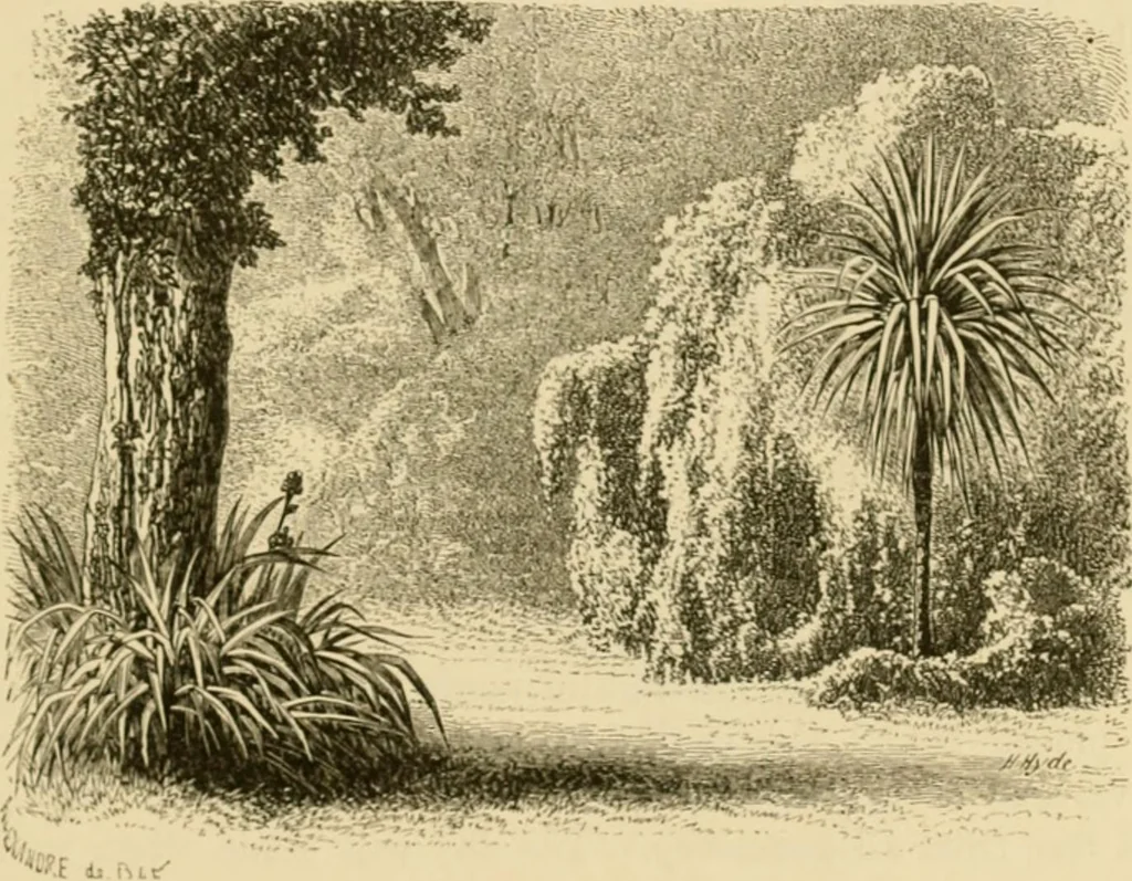An illustration from The parks and gardens of Paris, considered in relation to the wants of other cities and of the public and private gardens; being notes on a study of Paris gardens, 1878, leaf 68
