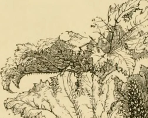 An illustration from The parks and gardens of Paris, considered in relation to the wants of other cities and of the public and private gardens; being notes on a study of Paris gardens, 1878, leaf 75