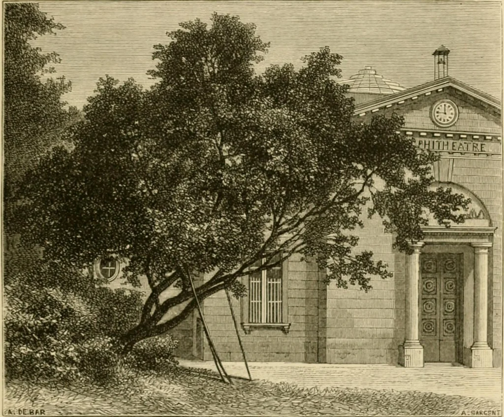 An illustration from The parks and gardens of Paris, considered in relation to the wants of other cities and of the public and private gardens; being notes on a study of Paris gardens, 1878, leaf 78