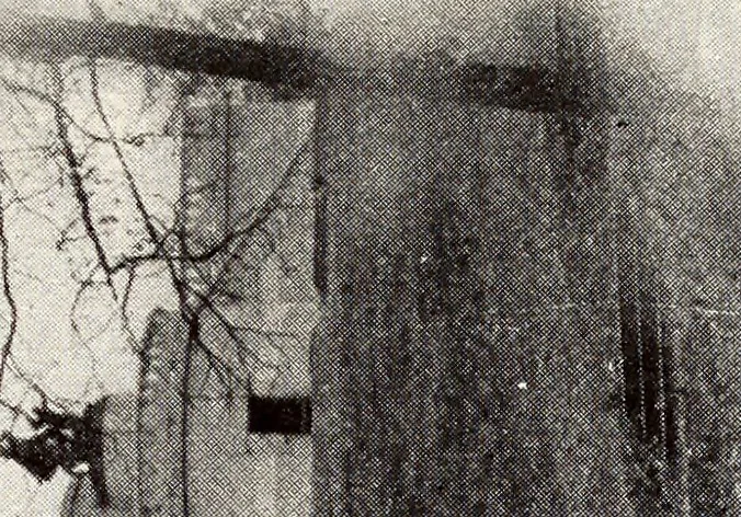 An illustration from Parks & memorials of the State of Illinois, 1920, leaf 22
