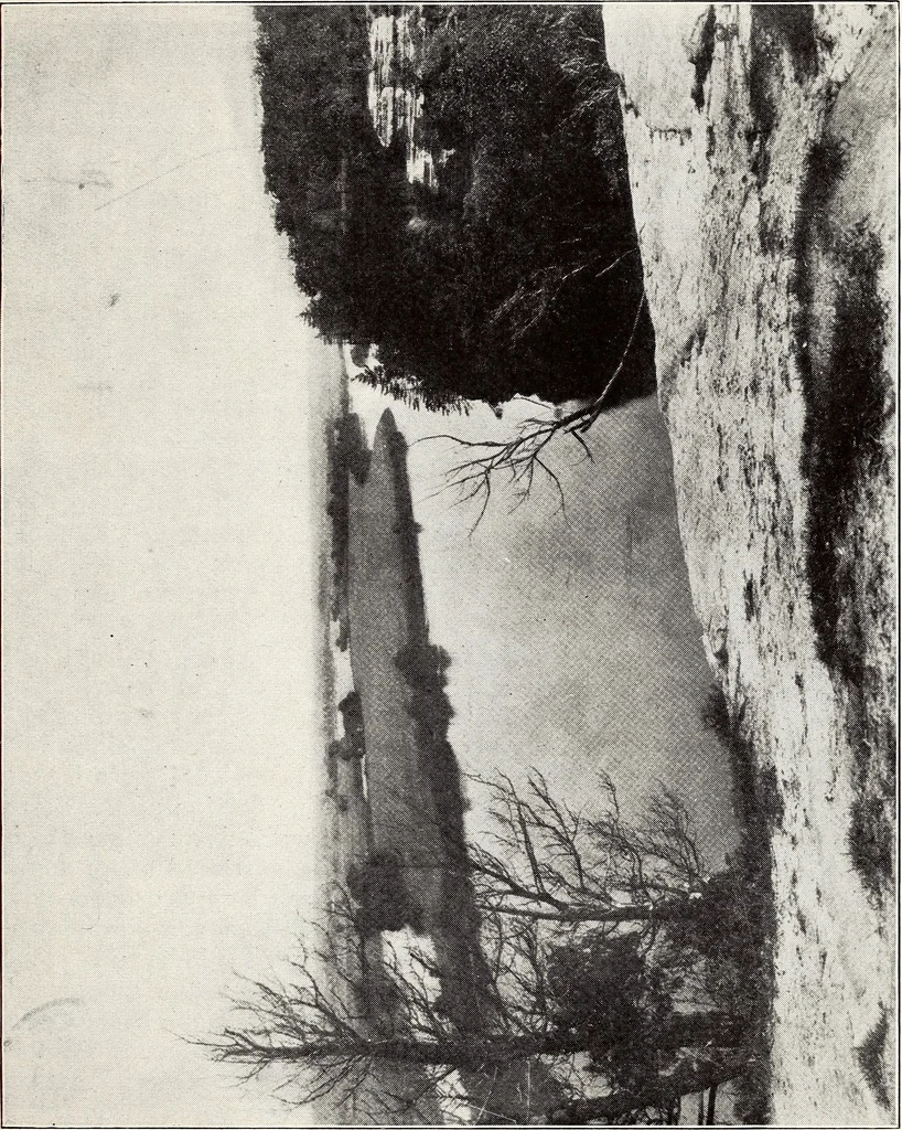 An illustration from Parks & memorials of the State of Illinois, 1920, leaf 46