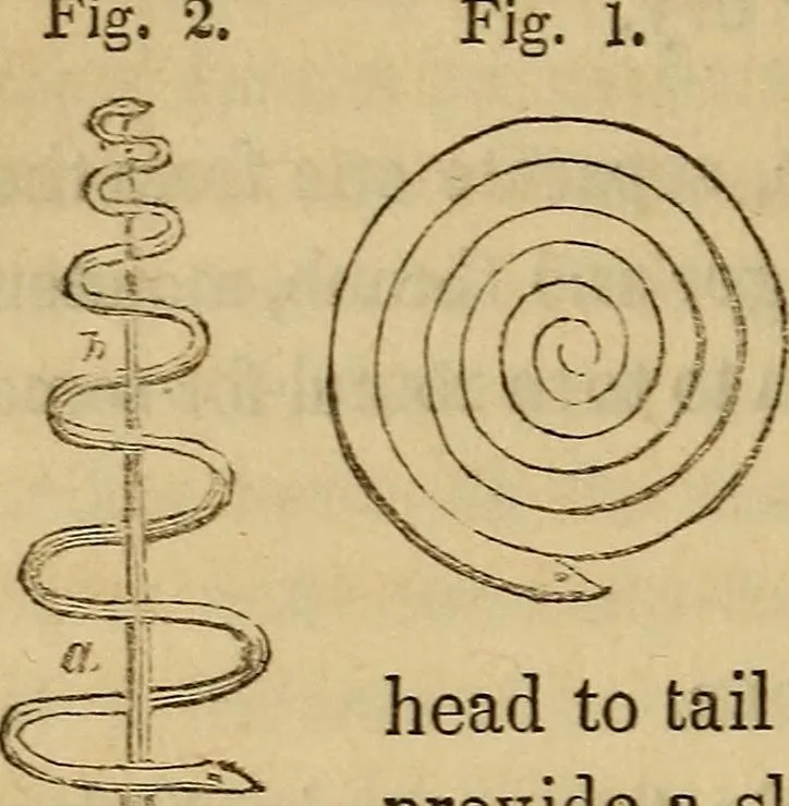 An illustration from Parlour magic, 1838, leaf 137