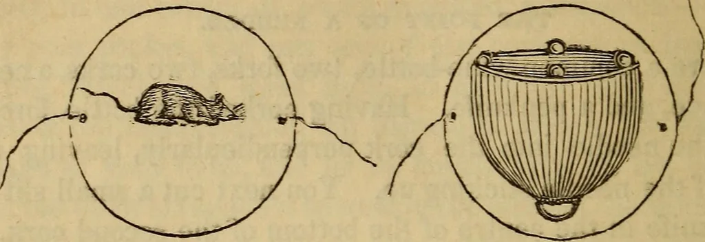 An illustration from Parlour magic, 1838, leaf 159