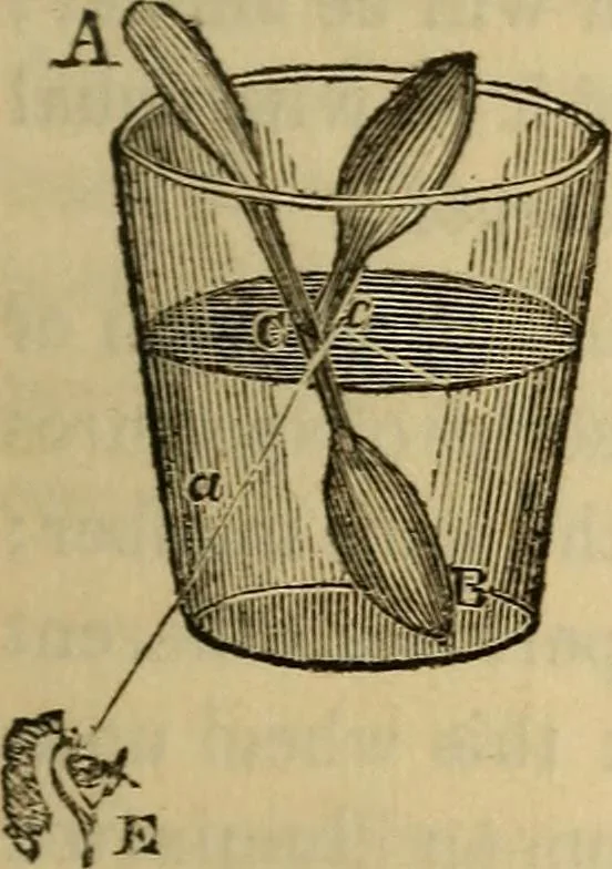 An illustration from Parlour magic, 1838, leaf 56