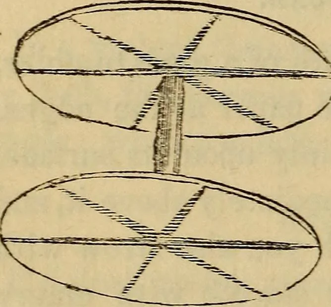 An illustration from Parlour magic, 1838, leaf 63