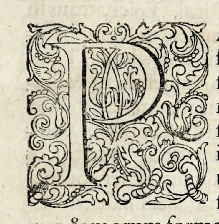 An illustration from Parnassus biceps : in cujus priore jugo musarum deorumque praesidum Hippocrenes : in altero deorum fatidicorum phoebadum, et vatum illustriorum qui priscis seculis oraculis, & praedictionibus claruerunt imagines proponuntur, & distichis latinis explicantur, 1627, leaf 11