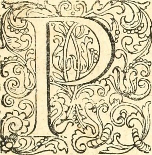 An illustration from Parnassvs cum imaginibus mvsarvm deorumq[ue] praesidum Hippocrenes : omnia depicta sunt, & distichis latinis illustrata, 1601, leaf 8
