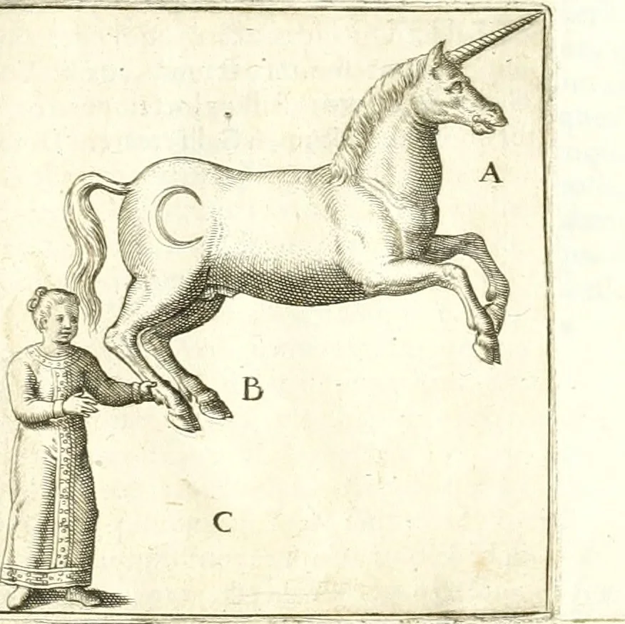 An illustration from Parnassvs cum imaginibus mvsarvm deorumq[ue] praesidum Hippocrenes : omnia depicta sunt, & distichis latinis illustrata, 1601, leaf 80