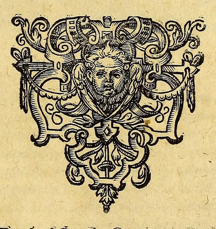 An illustration from Pars quarta Indiae Orientalis: qua primum varij generis animalia, fructus, arbores: item, aromata seu species & materialia: similiter & margarita seu vniones, ac gemmarum species pleraeq[ue]; sicut in India tum effodiantur, tum generentur; quo itidem in censu, pretio & appellatione sint, accuratè describuntur. : Per Ioannem Hugonem Lintschotanum, & nonnullos alios. Descriptioni huic adiectae nonnullibi sunt annotationes clariss. Dn. Bernhardi Paludani Doct. apud Enckhusanos Medici, apprimè vtiles & eruditae. Secundo: nouissima Hollandorum in Indiam Orientalem nauigatio, ad veris anni 1598. introitum suscepta, & quatuor exinde reducibus nauibus mense Iulio An. 1599. confecta, exponitur., 1601, leaf 127