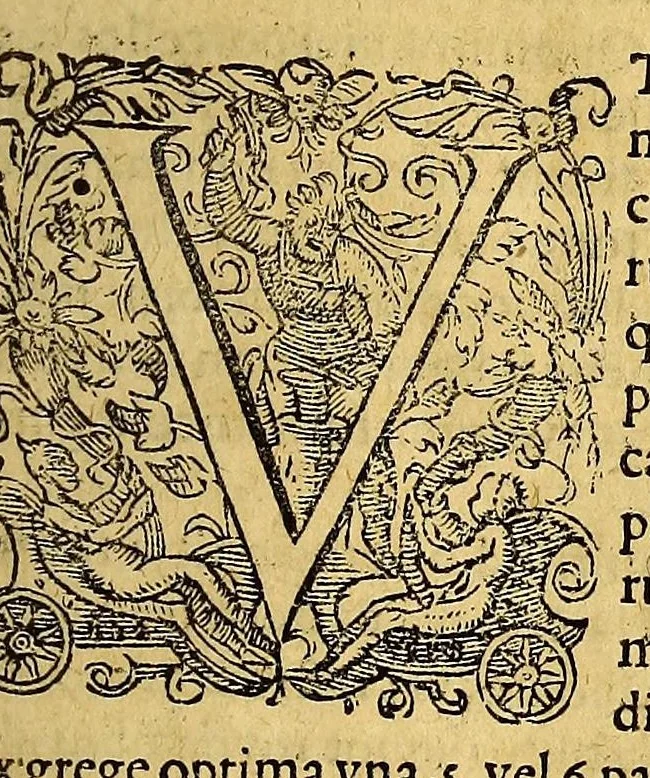 An illustration from Pars quarta Indiae Orientalis: qua primum varij generis animalia, fructus, arbores: item, aromata seu species & materialia: similiter & margarita seu vniones, ac gemmarum species pleraeq[ue]; sicut in India tum effodiantur, tum generentur; quo itidem in censu, pretio & appellatione sint, accuratè describuntur. : Per Ioannem Hugonem Lintschotanum, & nonnullos alios. Descriptioni huic adiectae nonnullibi sunt annotationes clariss. Dn. Bernhardi Paludani Doct. apud Enckhusanos Medici, apprimè vtiles & eruditae. Secundo: nouissima Hollandorum in Indiam Orientalem nauigatio, ad veris anni 1598. introitum suscepta, & quatuor exinde reducibus nauibus mense Iulio An. 1599. confecta, exponitur., 1601, leaf 15