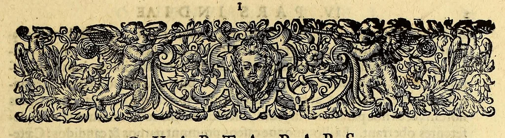 An illustration from Pars quarta Indiae Orientalis: qua primum varij generis animalia, fructus, arbores: item, aromata seu species & materialia: similiter & margarita seu vniones, ac gemmarum species pleraeq[ue]; sicut in India tum effodiantur, tum generentur; quo itidem in censu, pretio & appellatione sint, accuratè describuntur. : Per Ioannem Hugonem Lintschotanum, & nonnullos alios. Descriptioni huic adiectae nonnullibi sunt annotationes clariss. Dn. Bernhardi Paludani Doct. apud Enckhusanos Medici, apprimè vtiles & eruditae. Secundo: nouissima Hollandorum in Indiam Orientalem nauigatio, ad veris anni 1598. introitum suscepta, & quatuor exinde reducibus nauibus mense Iulio An. 1599. confecta, exponitur., 1601, leaf 13