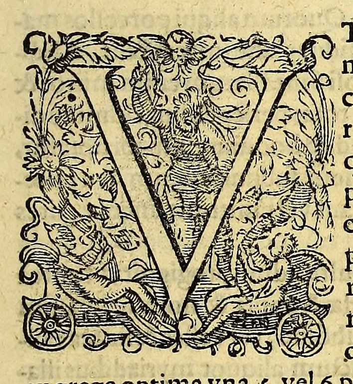 An illustration from Pars quarta Indiae Orientalis: qua primum varij generis animalia, fructus, arbores: item, aromata seu species & materialia: similiter & margarita seu vniones, ac gemmarum species pleraeq[ue]; sicut in India tum effodiantur, tum generentur; quo itidem in censu, pretio & appellatione sint, accuratè describuntur. : Per Ioannem Hugonem Lintschotanum, & nonnullos alios. Descriptioni huic adiectae nonnullibi sunt annotationes clariss. Dn. Bernhardi Paludani Doct. apud Enckhusanos Medici, apprimè vtiles & eruditae. Secundo: nouissima Hollandorum in Indiam Orientalem nauigatio, ad veris anni 1598. introitum suscepta, & quatuor exinde reducibus nauibus mense Iulio An. 1599. confecta, exponitur., 1601, leaf 13