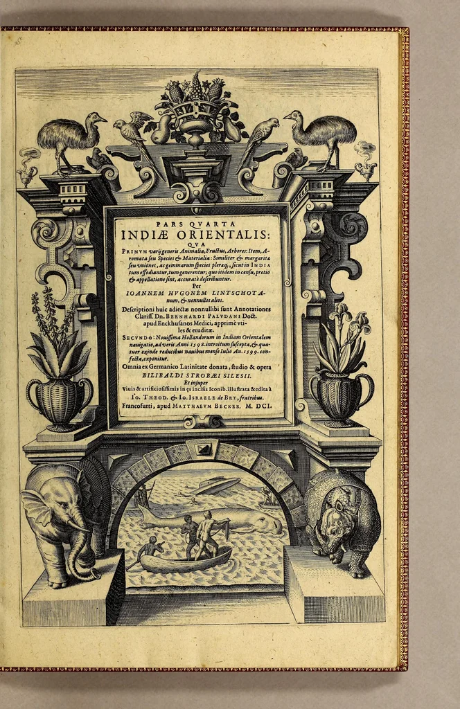 An illustration from Pars quarta Indiae Orientalis: qua primum varij generis animalia, fructus, arbores: item, aromata seu species & materialia: similiter & margarita seu vniones, ac gemmarum species pleraeq[ue]; sicut in India tum effodiantur, tum generentur; quo itidem in censu, pretio & appellatione sint, accuratè describuntur. : Per Ioannem Hugonem Lintschotanum, & nonnullos alios. Descriptioni huic adiectae nonnullibi sunt annotationes clariss. Dn. Bernhardi Paludani Doct. apud Enckhusanos Medici, apprimè vtiles & eruditae. Secundo: nouissima Hollandorum in Indiam Orientalem nauigatio, ad veris anni 1598. introitum suscepta, & quatuor exinde reducibus nauibus mense Iulio An. 1599. confecta, exponitur., 1601, leaf 5