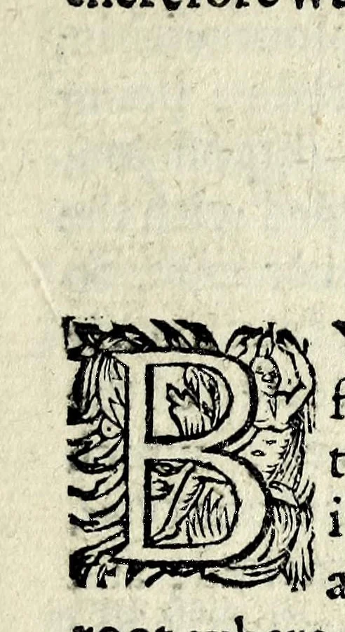 An illustration from Partheneia sacra, or, The mysterious and delicious garden of the sacred Parthenes : symbolically set forth and enriched with pious devises and emblemes for the entertainment of deuout soules, contriued al to the honour of the incomparable Virgin Marie, Mother of God, for the pleasure and deuotion especially of the parthenian sodalitie of her Immaculate Conception, 1633, leaf 153