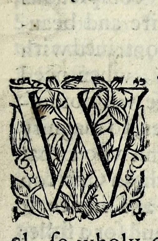 An illustration from Partheneia sacra, or, The mysterious and delicious garden of the sacred Parthenes : symbolically set forth and enriched with pious devises and emblemes for the entertainment of deuout soules, contriued al to the honour of the incomparable Virgin Marie, Mother of God, for the pleasure and deuotion especially of the parthenian sodalitie of her Immaculate Conception, 1633, leaf 23