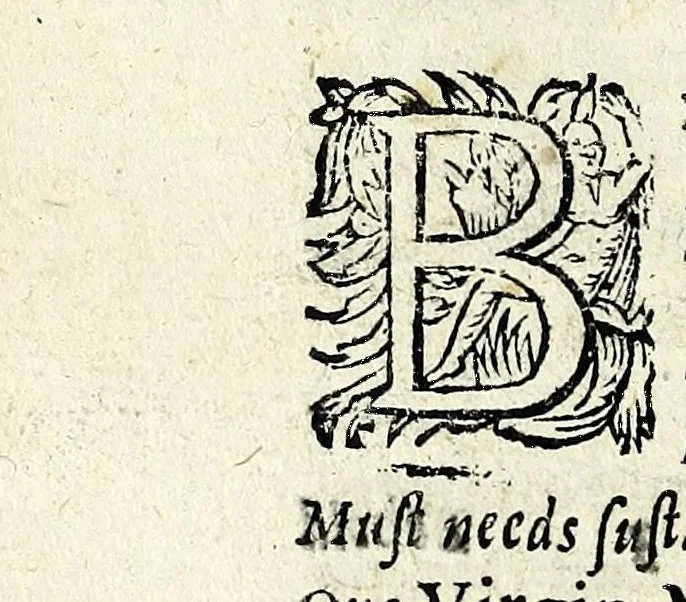 An illustration from Partheneia sacra, or, The mysterious and delicious garden of the sacred Parthenes : symbolically set forth and enriched with pious devises and emblemes for the entertainment of deuout soules, contriued al to the honour of the incomparable Virgin Marie, Mother of God, for the pleasure and deuotion especially of the parthenian sodalitie of her Immaculate Conception, 1633, leaf 290