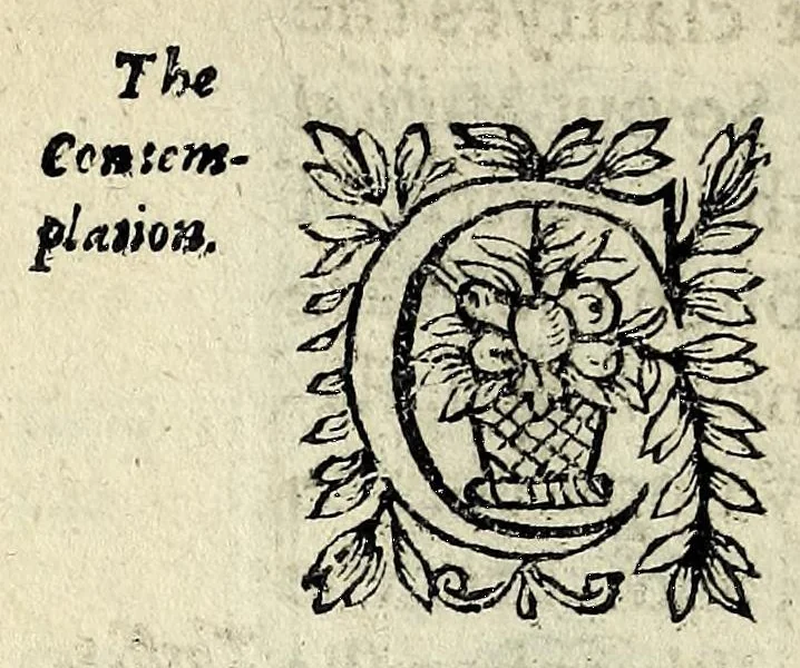 An illustration from Partheneia sacra, or, The mysterious and delicious garden of the sacred Parthenes : symbolically set forth and enriched with pious devises and emblemes for the entertainment of deuout soules, contriued al to the honour of the incomparable Virgin Marie, Mother of God, for the pleasure and deuotion especially of the parthenian sodalitie of her Immaculate Conception, 1633, leaf 48