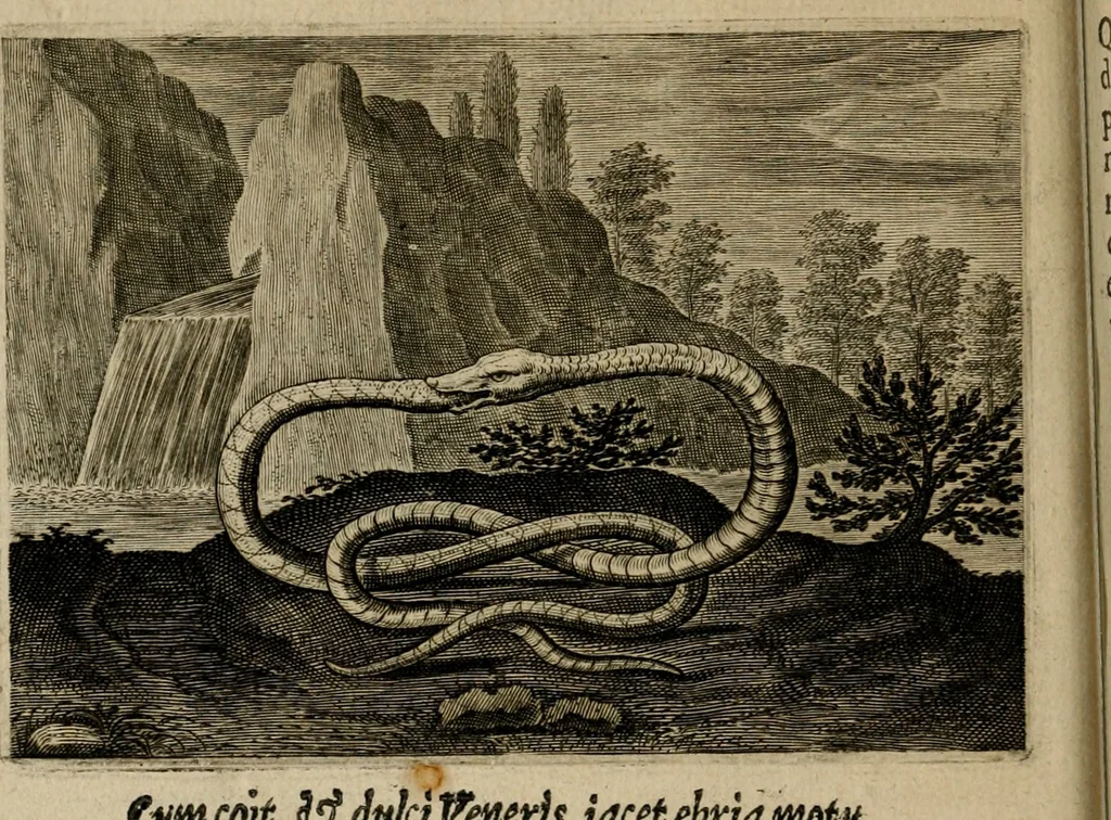 An illustration from Emblemata Florentii Schoonhovii I.C. Goudani, partim moralia, partim etiam civilia. Cum latiori eorundem ejusdem auctoris interpretatione. Accedunt et alia quaedam poëmatia in alijs poëmatum suorum libris non contenta, 1618, leaf 159