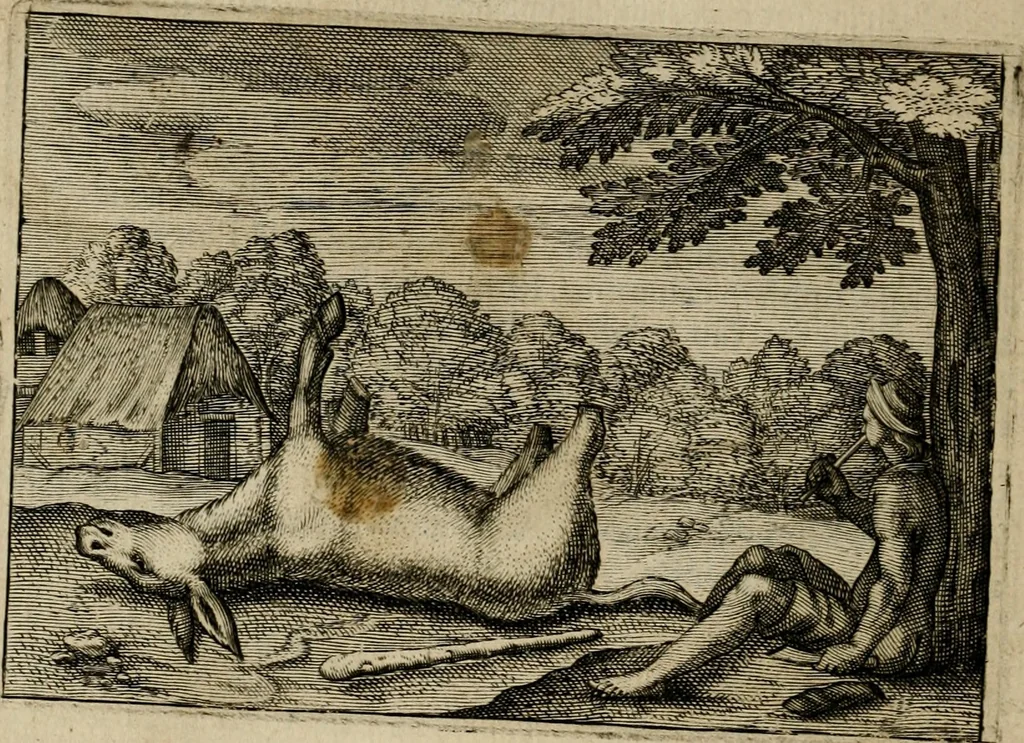 An illustration from Emblemata Florentii Schoonhovii I.C. Goudani, partim moralia, partim etiam civilia. Cum latiori eorundem ejusdem auctoris interpretatione. Accedunt et alia quaedam poëmatia in alijs poëmatum suorum libris non contenta, 1618, leaf 211