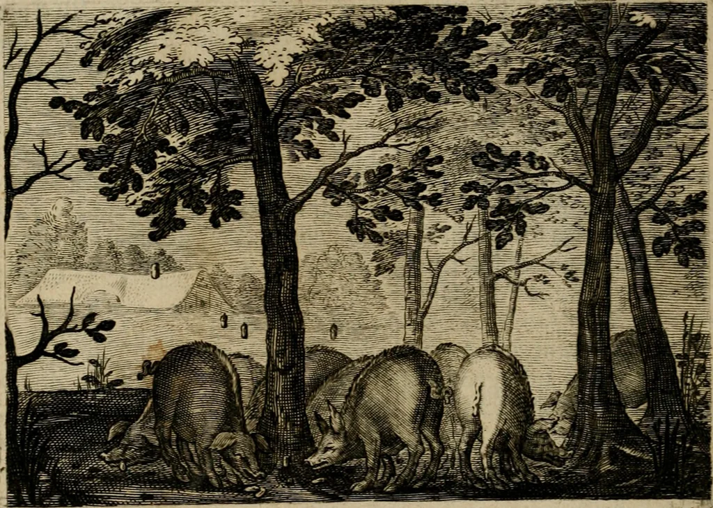 An illustration from Emblemata Florentii Schoonhovii I.C. Goudani, partim moralia, partim etiam civilia. Cum latiori eorundem ejusdem auctoris interpretatione. Accedunt et alia quaedam poëmatia in alijs poëmatum suorum libris non contenta, 1618, leaf 225