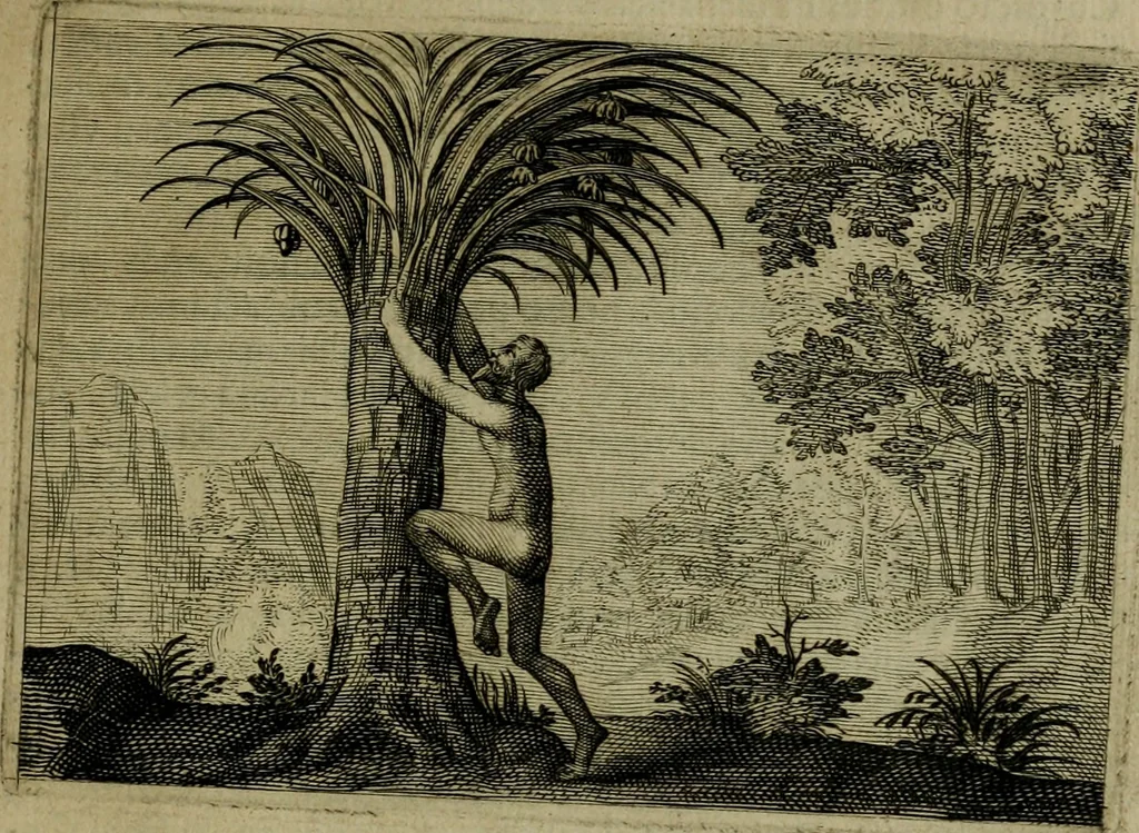 An illustration from Emblemata Florentii Schoonhovii I.C. Goudani, partim moralia, partim etiam civilia. Cum latiori eorundem ejusdem auctoris interpretatione. Accedunt et alia quaedam poëmatia in alijs poëmatum suorum libris non contenta, 1618, leaf 236