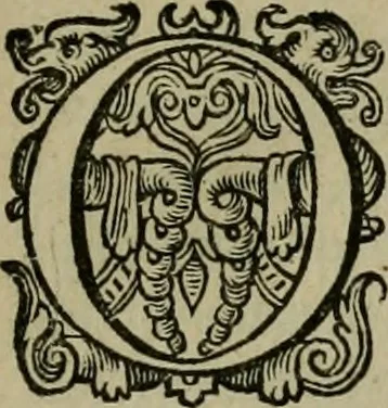 An illustration from Emblemata Florentii Schoonhovii I.C. Goudani, partim moralia, partim etiam civilia. Cum latiori eorundem ejusdem auctoris interpretatione. Accedunt et alia quaedam poëmatia in alijs poëmatum suorum libris non contenta, 1618, leaf 240