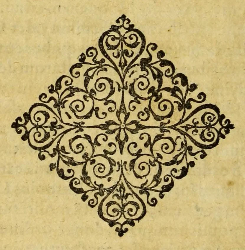 An illustration from Paruum theatrum vrbium siue vrbium praecipuarum totius orbis breuis et methodica descriptio., 1595, leaf 10