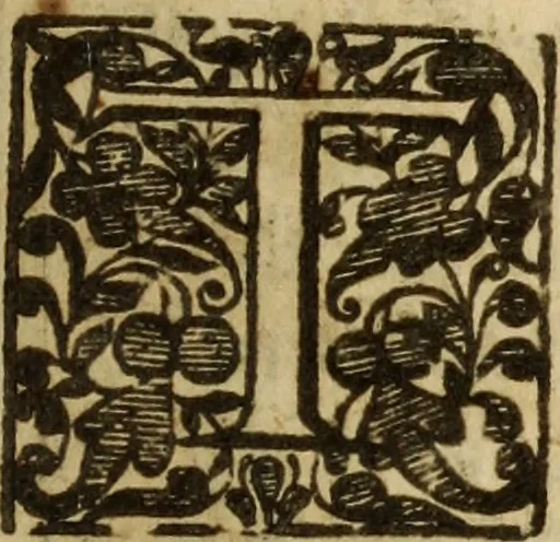 An illustration from A treatise of the passions and faculties of the soule of man : with the severall dignities and corruptions thereunto belonging, 1640, leaf 132