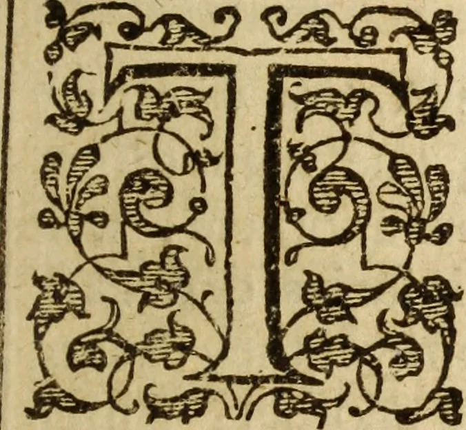 An illustration from A treatise of the passions and faculties of the soule of man : with the severall dignities and corruptions thereunto belonging, 1640, leaf 140