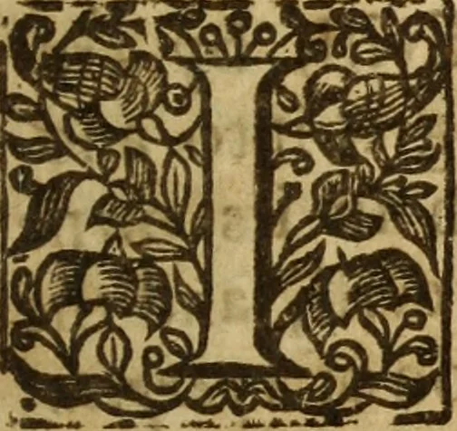 An illustration from A treatise of the passions and faculties of the soule of man : with the severall dignities and corruptions thereunto belonging, 1640, leaf 152