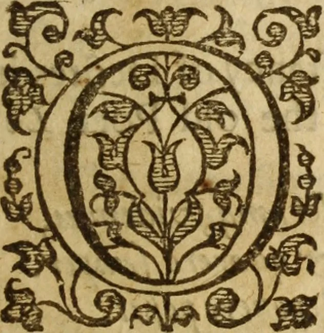 An illustration from A treatise of the passions and faculties of the soule of man : with the severall dignities and corruptions thereunto belonging, 1640, leaf 198