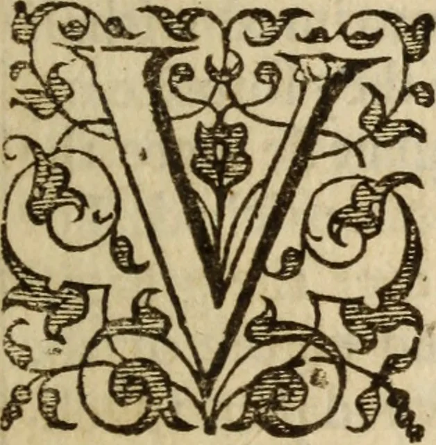 An illustration from A treatise of the passions and faculties of the soule of man : with the severall dignities and corruptions thereunto belonging, 1640, leaf 234