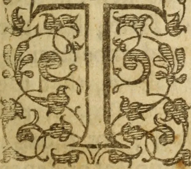 An illustration from A treatise of the passions and faculties of the soule of man : with the severall dignities and corruptions thereunto belonging, 1640, leaf 258