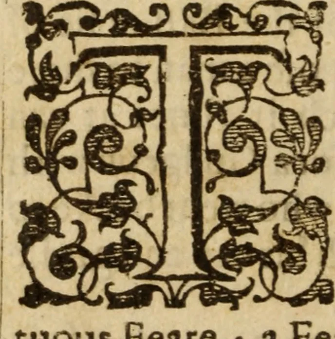 An illustration from A treatise of the passions and faculties of the soule of man : with the severall dignities and corruptions thereunto belonging, 1640, leaf 299