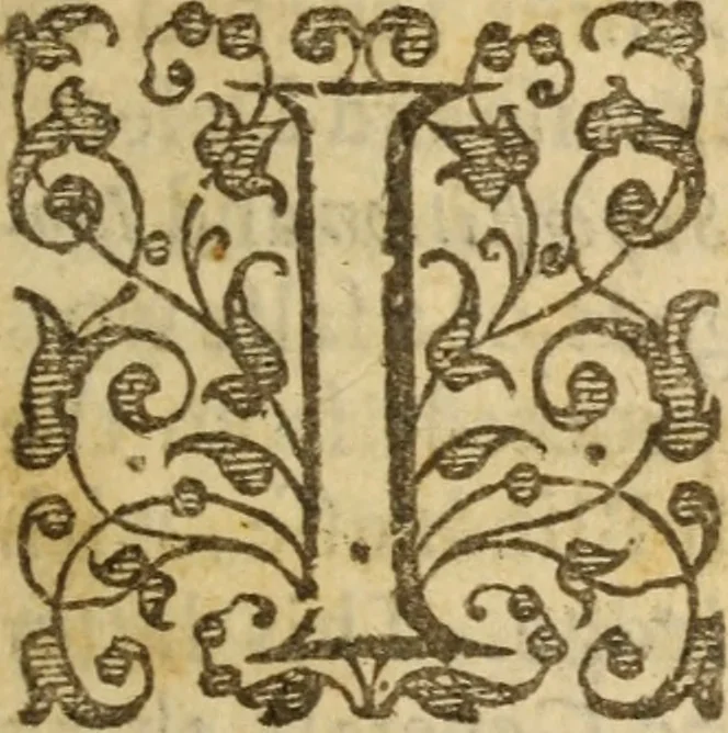 An illustration from A treatise of the passions and faculties of the soule of man : with the severall dignities and corruptions thereunto belonging, 1640, leaf 502