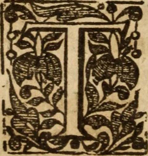 An illustration from A treatise of the passions and faculties of the soule of man : with the severall dignities and corruptions thereunto belonging, 1640, leaf 67