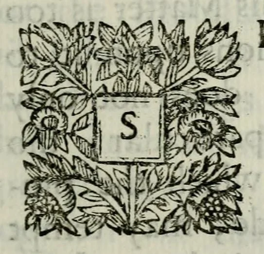 An illustration from A pastoral letter writ by the Right Reverend father in God, Gilbert, Lord Bishop of Sarum, to the clergy of the diocess, concerning the oaths of allegiance and supremacy to K. William and Q. Mary, 1689, leaf 9