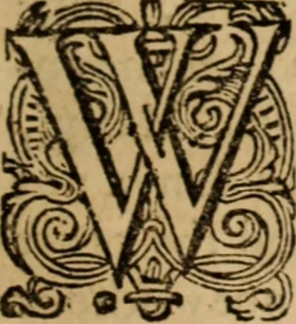 An illustration from The pastor and the prelate, or Reformation and conformitie, 1628, leaf 24