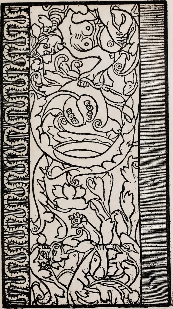 An illustration from Patrons de broderie et de lingerie du XVIe siècle, 1872, leaf 100
