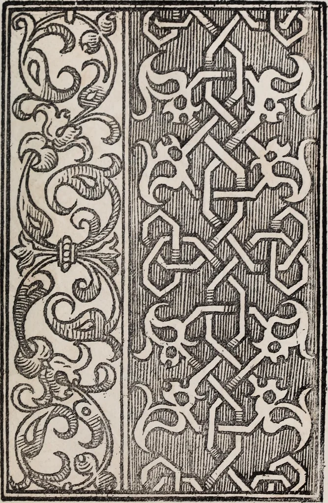 An illustration from Patrons de broderie et de lingerie du XVIe siècle, 1872, leaf 114