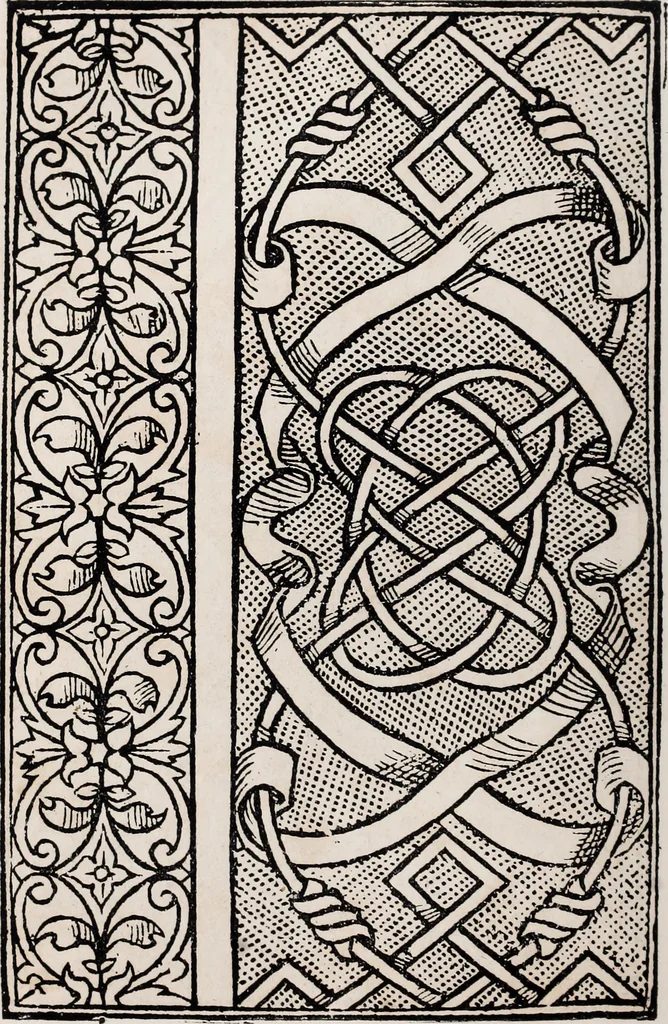 An illustration from Patrons de broderie et de lingerie du XVIe siècle, 1872, leaf 115