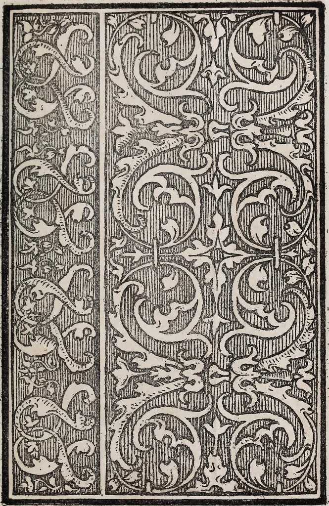An illustration from Patrons de broderie et de lingerie du XVIe siècle, 1872, leaf 118