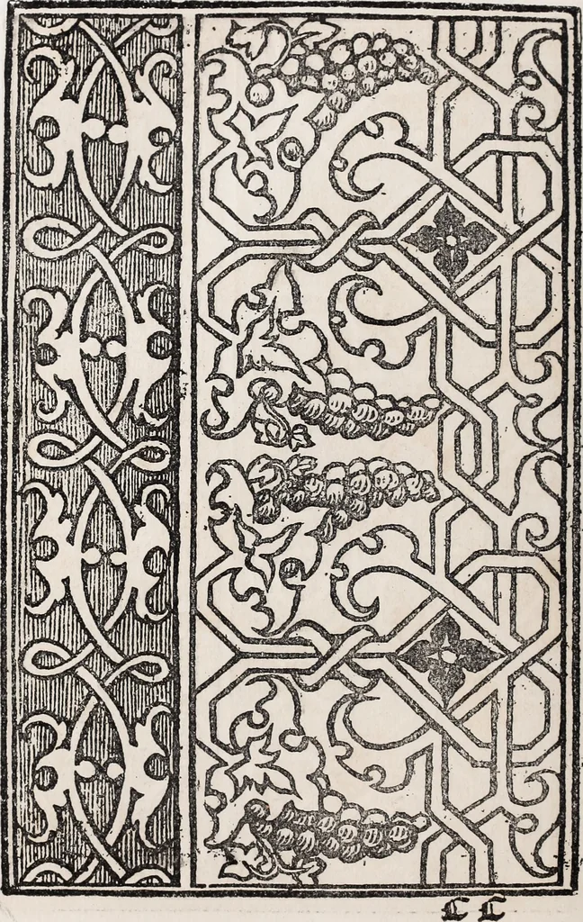 An illustration from Patrons de broderie et de lingerie du XVIe siècle, 1872, leaf 123