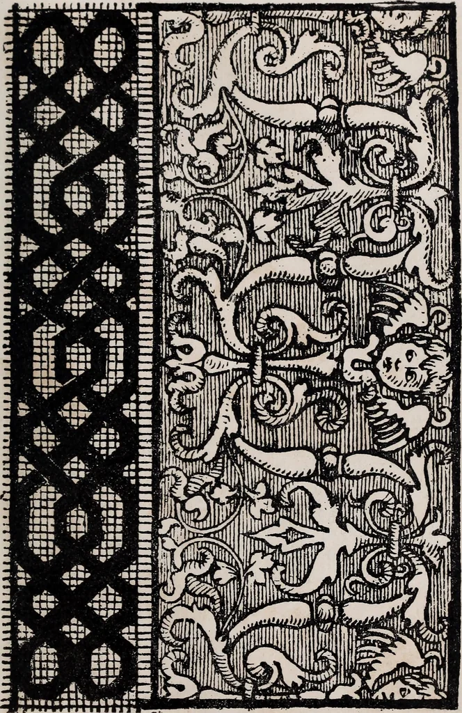 An illustration from Patrons de broderie et de lingerie du XVIe siècle, 1872, leaf 138